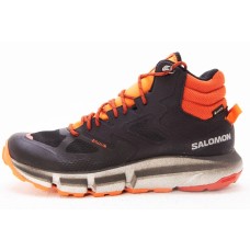 Salomon Predict Hike Mid Gore Tex