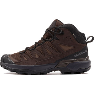 Salomon X Ultra 360 Ltr Mid Gore-Tex Brown
