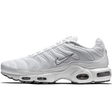 Nike Air Max Plus White Gray