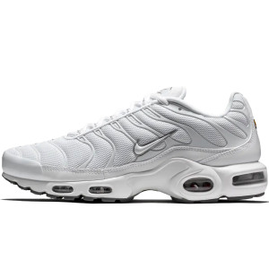 Nike Air Max Plus White Gray
